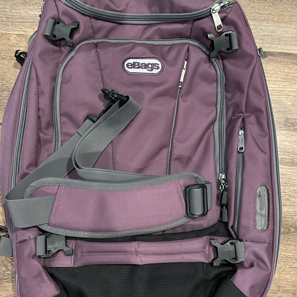 eBags Men's Travel Backpack in Plum